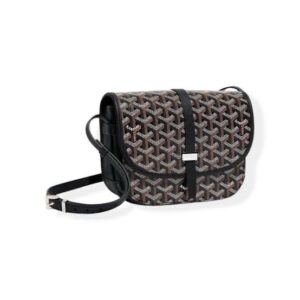 WhatsApp Image 2026-02-17 at 12.48.30 Goyard black Crossbody Bag