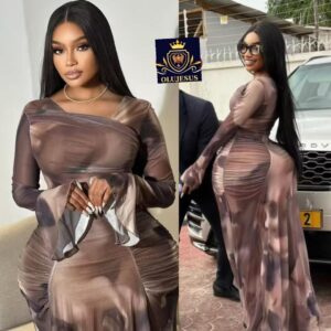 Elegant Brown Mesh Maxi Dress