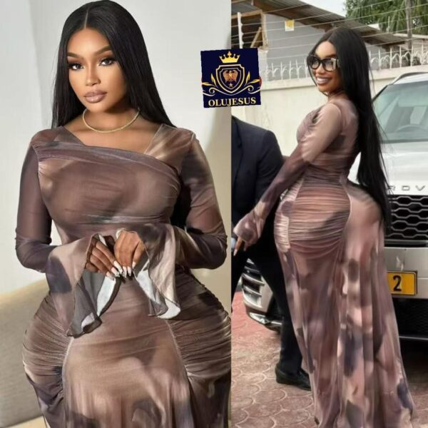 Elegant Brown Mesh Maxi Dress