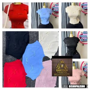 WhatsApp Image 2026-02-22 at 18.33.04 Bow Detail Crop Top