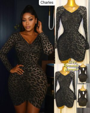 Leopard mesh ruched long sleeve mini dress